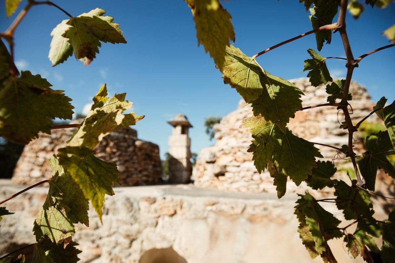Вилла Trulli Dell'Angelo Спеккьолла Экстерьер фото